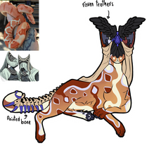 Adopt design
