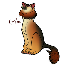 Adopt design
